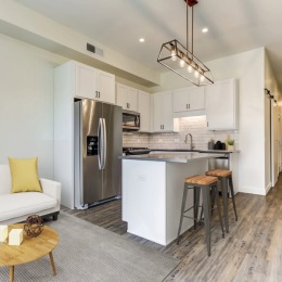 kitchen and living room with a couch